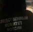 В Новой Усмани утонули двое маленьких мальчиков - Новая Усмань Сегодня